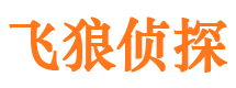 泾阳外遇调查取证